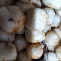 Cooksnap dari Nadila Yusrina untuk resep Cimol anti gagal anti meledak
