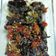 Cooksnap dari Tulus Dewi untuk resep Paru Goreng Kering Balado