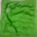 Cooksnap dari Defvy Saja untuk resep Bolu Kukus Pandan