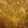 Sadia Alvi's cooksnap of when they made Khari masoor ki daal,kaali Daal.