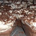 صورة من Sweets Home🍪❤، شاركها بعد تجربة وصفة كاسات تيراميسو