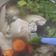 Cooksnap dari Irine Ajeng untuk resep Sup ayam sayur