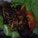 Cooksnap dari Dini Savitri untuk resep Ikan Bawal Bakar Sambal Kecap