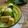 Cooksnap dari 🌷Yulie Yuda Gunawan🌷 untuk resep Kelopateh Khas Madura