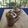 Khyati Dhaval Chauhan's cooksnap of when they made A cuppaa of dalgona coffee.