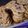 El cooksnap de Celeste Centurión cuando hizo 🥕 Galletas de Zanahoria y avena.
