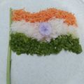 Bhavna C. Desai's cooksnap of when they made ત્રિરંગી સલાડ (Trirangi Salad Recipe In Gujarati).