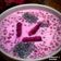 Cooksnap dari nandhya untuk resep Dragon Fruit Sago
