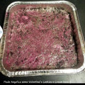 mdk11372's cooksnap of when they made no bake chewy cookies n cream bars..