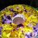 Cooksnap dari rima dwi. untuk resep Puding Susu Mozaik 🍮