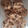 amianda's cooksnap of when they made Oat and Raisin Cookies.