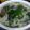 Cooksnap dari Indah Permatasari untuk resep Ikan pindang kuah kemangi