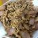 Ling Tin 的 烤肉醬炒洋蔥豬肉 cooksnap