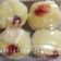 Cooksnap dari Asih untuk resep Donat bomboloni gula coklat