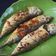 Cooksnap dari Nur Ekayanti untuk resep Ikan kembung goreng sedikit bumbu tapi enak