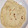 Maiko Kamata's cooksnap of when they made Chapati(chapo).