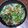 Cooksnap dari luciaestie@gmail.com untuk resep 15. Cah Touge Ala Resto Simple dan Praktis