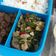 Cooksnap dari Diyah Firmansyah untuk resep Tumis buncis bakso saos tiram