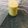 Zobia Sajjad's cooksnap of when they made Mango milkshake.