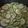 El cooksnap de Gabriela Herrera cuando hizo Pickles 😋.