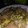 El cooksnap de Aliciarl22 cuando hizo Revuelto de puerros, pavo y roquefort.