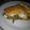 El cooksnap de CARLA cuando hizo Tarta de tomate, jamón, queso y huevos.
