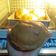 Cooksnap dari Rika untuk resep Roti boy/roti o/ mexican coffee bun/mocca bun