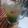 Sonal Karia's cooksnap of when they made કાવો (Kava Recipe In Gujarati).