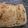 Navinder Kaur's cooksnap of when they made Soft layered white chapati.