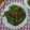 潘俊霖的(簡單料理) 的 丁香豆鼓炒山蘇 cooksnap