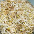 Cooksnap dari Sayu komang megayani untuk resep Tumis sawi putih & toge simpel
