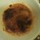 صورة من Roula ☺😊، شاركها بعد تجربة وصفة كابتشينو بالكراميل ☕