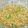 Anam Azhar's cooksnap of when they made Dhaba style Mash daal.