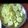 mona का कुकस्नैप जब उन्होंने वेजिटेबल सलाद (vegetable salad recipe in hindi) बनाया था।