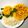 Poonam Gupta's cooksnap of when they made Daal chawal and paratha.