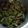 Prafulla Ramoliya's cooksnap of when they made પાત્રા (Patra recipe in gujarati).