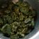 Prafulla Ramoliya's cooksnap of when they made પાત્રા (Patra recipe in gujarati).