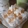 Cooksnap dari Aisyah Handayani untuk resep Putri Salju