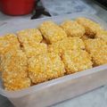Cooksnap dari shinta septiani untuk resep Nugget ayam ekonomis (pakai blender)