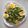 El cooksnap de María G. Galindo cuando hizo Ensalada-carpaccio de pepino, atún, rúcula, canónigos, aguacate y huevo.