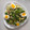 El cooksnap de María G. Galindo cuando hizo Ensalada-carpaccio de pepino, atún, rúcula, canónigos, aguacate y huevo.