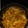 El cooksnap de ISABEL cuando hizo Pollo en salsa.