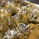 Kiran Solanki's cooksnap of when they made પાત્રા=(patra in gujarati).