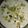 Dipika Bhalla's cooksnap of when they made બાસુંદી(basundi recipe in gujarati).