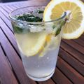 Stella T's cooksnap of when they made 🍈🌿Mint Lime Mojito🌿🍈.