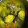 Cooksnap dari Ita Rosita untuk resep Tumis Tuna Kuah Kuning