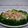 Cooksnap dari olive bunda qonita untuk resep Broccoli Steamed with Garlic Sauce