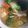 Cooksnap dari Seka Rie untuk resep Mie Sop Kampung Ayam Ceker