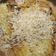 Cooksnap dari Dwi Rahayu untuk resep Pisang pipit goreng