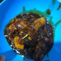 Cooksnap dari Natalia Herlin untuk resep Ayam kecap bawang bombay